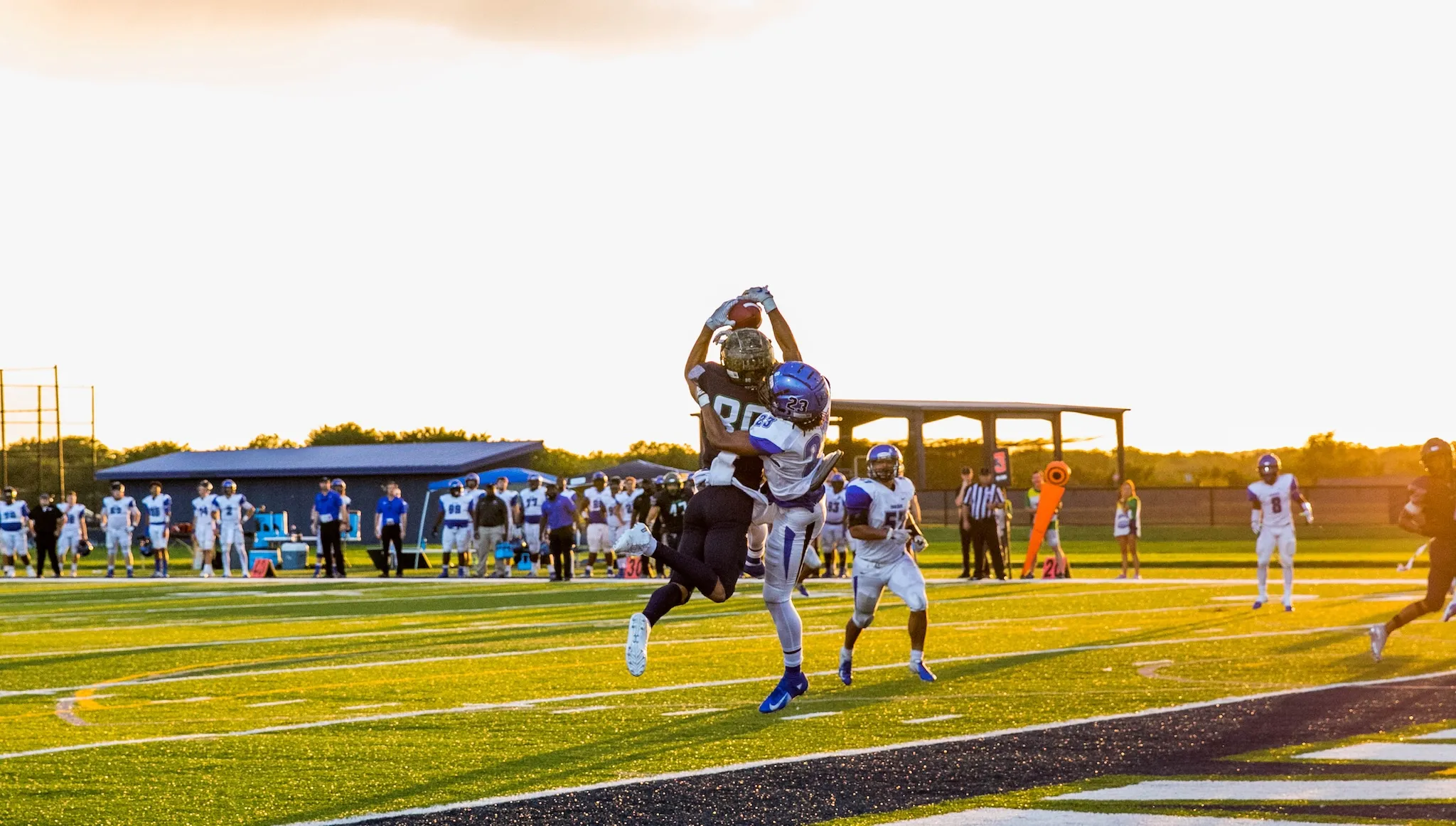Ave Maria University Gyrenes football