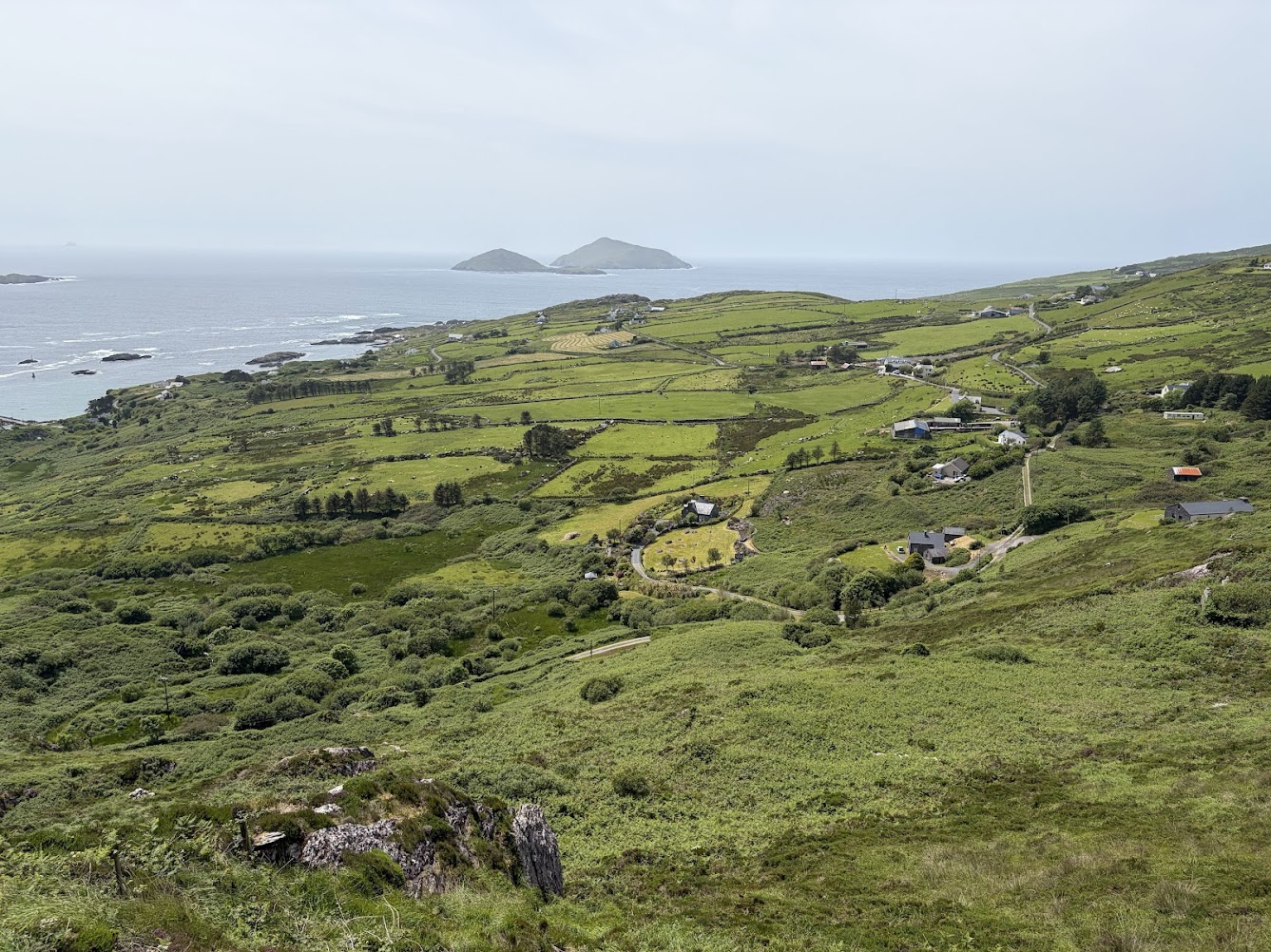 Aerial view of Ireland program property