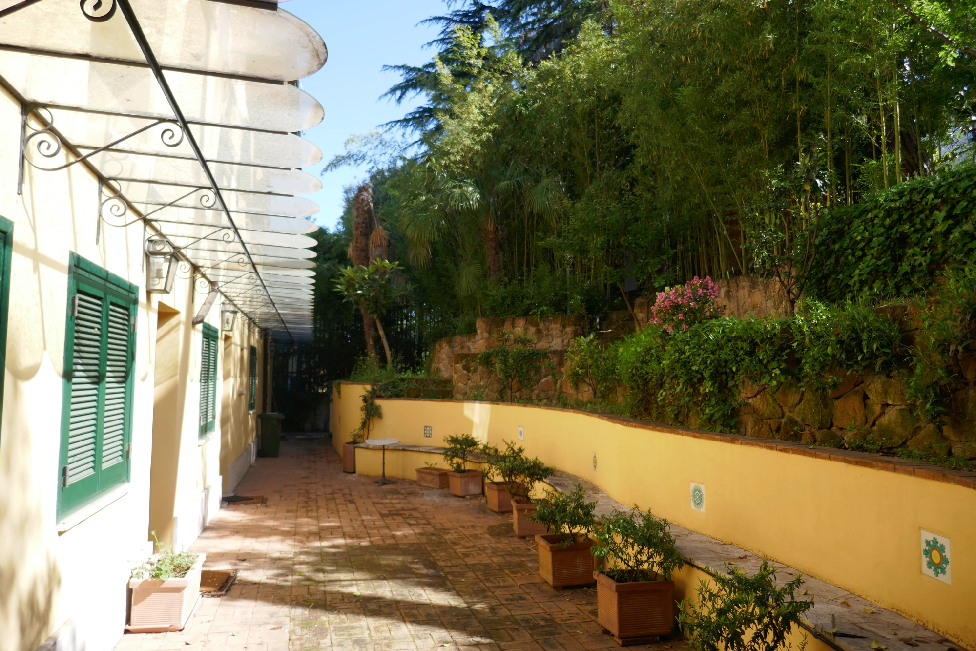 Rome Study Abroad